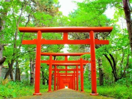 Kyonoya Fushimi Inari Villa Kyoto Bagian luar foto